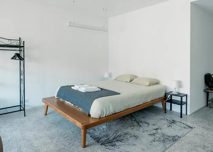 Apartamento Lobo I - Luminous Loft Near Casa Da Música Oporto