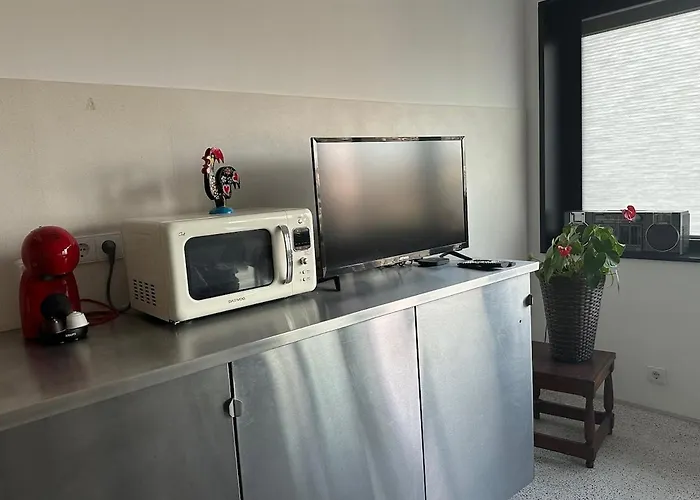 Apartamento Lobo I - Luminous Loft Near Casa Da Música *