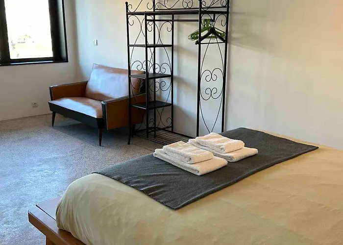 Lobo I - Luminous Loft Near Casa Da Musica Apartment Porto