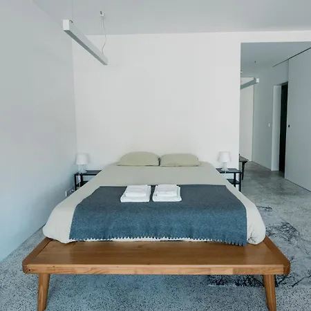 Apartament Lobo I - Luminous Loft Near Casa Da Musica *